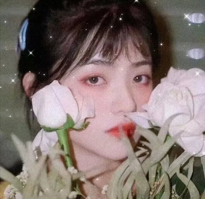 月光光心慌慌3
